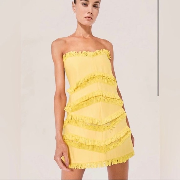 Alexis Dresses & Skirts - SOLD Alexis Fione Dress XS NWT